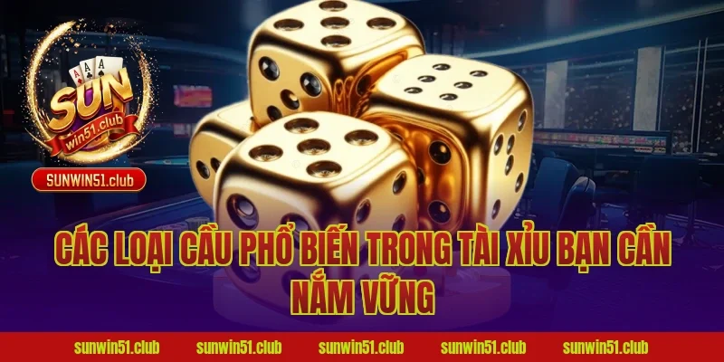 Các Loại Cầu Phổ Biến Trong Tài Xỉu Bạn Cần Nắm Vững